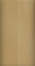 Mercury Medium Tan Metallic 8J (1979) Touch Up Paint swatch