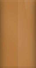 Ford Aztec Bronze Metallic 51/XSC-1469C Touch Up Paint swatch