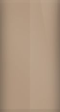 Dodge Medium Tan DT-6375 (1972) Touch Up Paint swatch