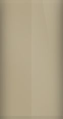 Buick Antelope Beige WA9200/86 Touch Up Paint swatch