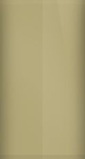 Buick Light Bronze Mist Metallic WA534F/54 Touch Up Paint swatch