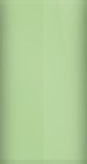 Ford Light Green 4-S (1973) Touch Up Paint swatch