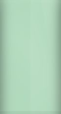 Buick Riviera Silver Green Poly WA3501/Z Touch Up Paint swatch
