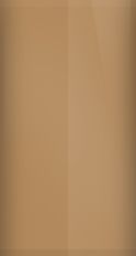 Oldsmobile Light Briar Brown Metallic 62/WA8240 Touch Up Paint swatch