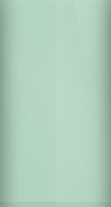 Mini Cooper Silk Green Metallic 901 Touch Up Paint swatch