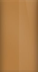 Chevrolet Agean Brown WA4261/69 Touch Up Paint swatch