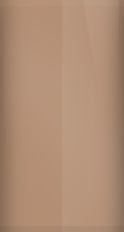 Acura Bronze Metallic YR-543M Touch Up Paint swatch