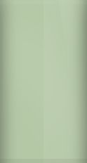 Subaru Green Gray Metallic C1F Touch Up Paint swatch