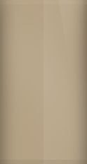 Buick Buckskin WA3747/X Touch Up Paint swatch