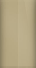 Porsche Luxor Beige Pearl M1S Touch Up Paint swatch