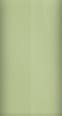 Infiniti Sage Pearl Metallic J20 Touch Up Paint swatch