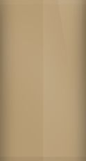 Mercury Medium Sand Beige 8A/6068 Touch Up Paint swatch
