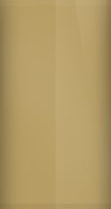 Chrysler Light Sandstone Metallic FKG/PKG Touch Up Paint swatch