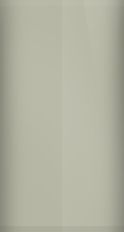 Ford Dove Gray CO/C1/XSC-1491A Touch Up Paint swatch