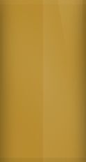 Chevrolet Turin Tan WA4269/58 Touch Up Paint swatch