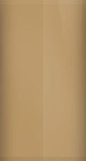 American Motors Coffee CW Touch Up Paint swatch