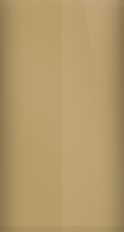 Cadillac Sandstone WA8538/56 Touch Up Paint swatch