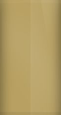 Dodge Medium Taupe Metallic GL6 Touch Up Paint swatch