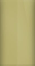 Dodge Avocado Gold Poly J-6 (1975) Touch Up Paint swatch
