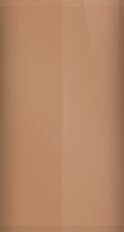 Oldsmobile Chestnut Poly 68 (1973) Touch Up Paint swatch