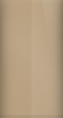 BMW Luxor Beige Metallic 219 Touch Up Paint swatch