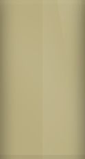 Chevrolet Light Sandrift Metallic WA312C/49 Touch Up Paint swatch