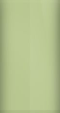 Chevrolet Yellow Green Metallic 504 (1969) Touch Up Paint swatch