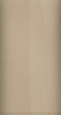 Jaguar Golden Sand Metallic 8318L Touch Up Paint swatch
