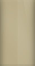 Dodge Dakota Sand Metallic S83/PD6 Touch Up Paint swatch