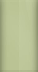 Mercury Arctic Green Metallic D8/M6810 Touch Up Paint swatch