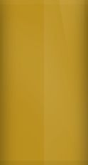 Nissan Bronze Gold Metallic C20 Touch Up Paint swatch