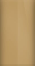 Land Rover Bahama Gold 1BX Touch Up Paint swatch