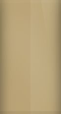 Oldsmobile Medium Driftwood Metallic 65/WA8745 Touch Up Paint swatch