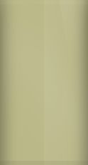 Toyota Sandy Beach Metallic 4T8 Touch Up Paint swatch