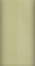 Ford Lime 2 (1969) Touch Up Paint swatch