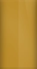 Chevrolet Saddle Metallic WA5239/85 Touch Up Paint swatch