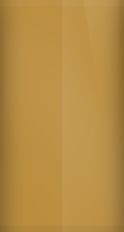 Dodge Gold Poly Y-6 (1973) Touch Up Paint swatch