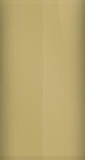 Kawasaki Pearl Sand Khaki KAW146 Touch Up Paint swatch