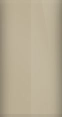 Suzuki Sahara Tan 24N Touch Up Paint swatch