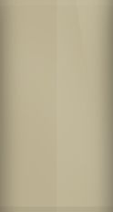 Nissan Taupe Beige 422 Touch Up Paint swatch
