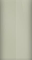 Dodge Wheat Beige  Metallic S22/PVC Touch Up Paint swatch