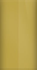 Volkswagen Curry Gold 9184/LN1N Touch Up Paint swatch