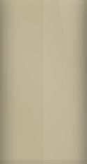Ford Light Prairie Tan Metallic BM/M6882 Touch Up Paint swatch