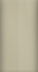 Acura Desert Rock Metallic YR-545M Touch Up Paint swatch