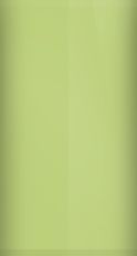 Pontiac Augusta Green Poly 45 (1975) Touch Up Paint swatch