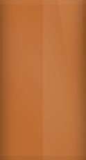 Toyota Orange Metallic 484 Touch Up Paint swatch