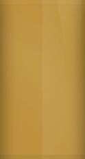 Porsche Mexico Beige LE1M Touch Up Paint swatch