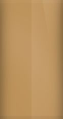 Buick Autumn Gold WA4318/54 Touch Up Paint swatch