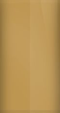 Chrysler Golden Tan Metallic AT7 (1982) Touch Up Paint swatch