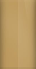 Mitsubishi Carmel Beige Pearl S57 Touch Up Paint swatch